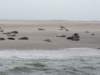 HWK Texel 127_small.jpg